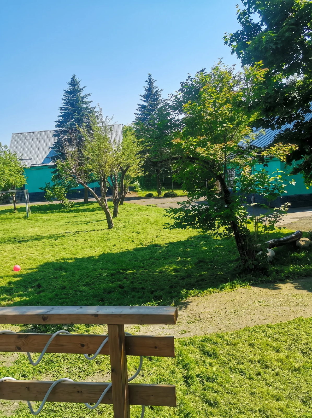 Июнь, лужайка у дома